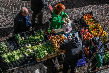 Protesta Tir e agricoltori, ritardi e carenze di pesce e ortofrutta al Nord