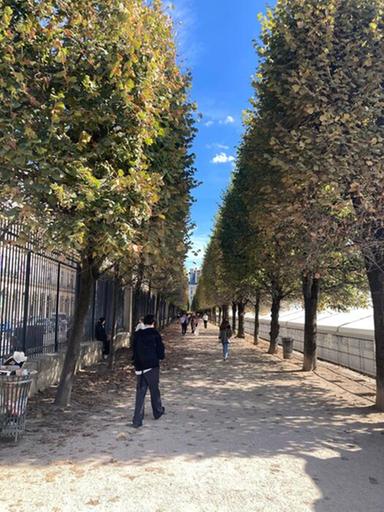 'Dipingere il tempo', a Parigi una mostra per il centenario di Claude Monet