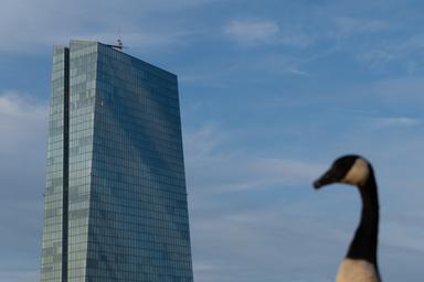 Bce, raddoppia l'uso dell'Ia ma la metà dei dipendenti è frenata