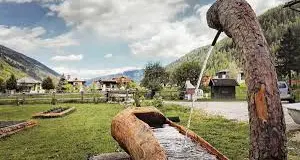 Agriturismi in Alto Adige, novità su bestiame e terreni in affitto