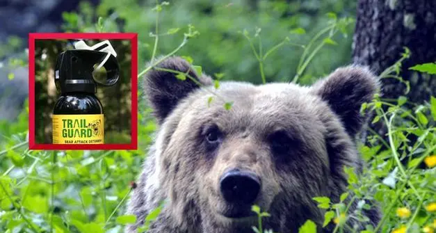 Spray anti-orso, sì della Camera a uno studio per estenderlo a tutti
