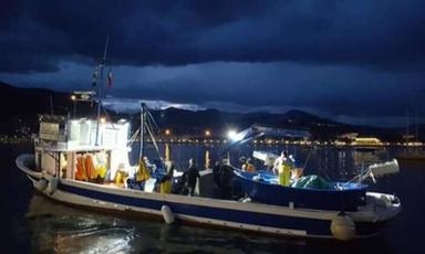 El Niño azzera la pesca delle acciughe in Perù, dimezzati i posti di lavoro