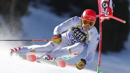 GUILLAUME HORCAJUELO