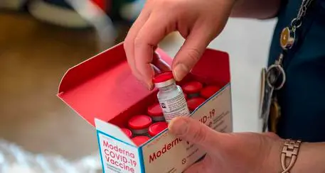 Entro febbraio arrivano in Italia 764mila dosi vaccino Moderna