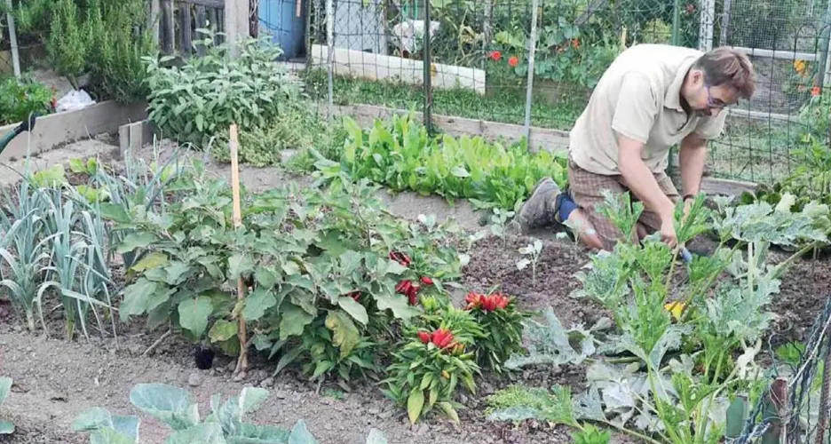 Merano, quindici orti municipali ancora senza “padrone”