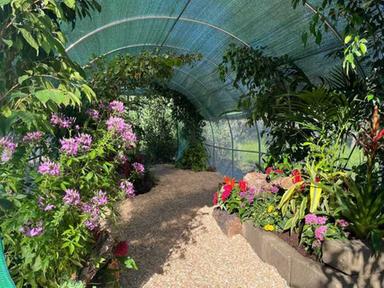 A fiera del giardinaggio Murabilia debutta 'la casa delle farfalle'