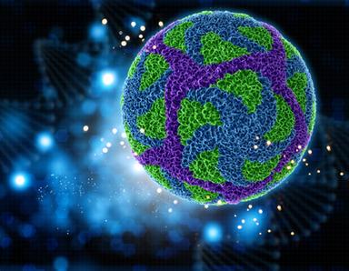 Nanopostini consegnano farmaci contro le malattie del fegato