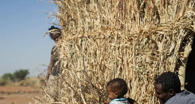 Etiopia: Onu, diverse aree Tigray sull'orlo della carestia
