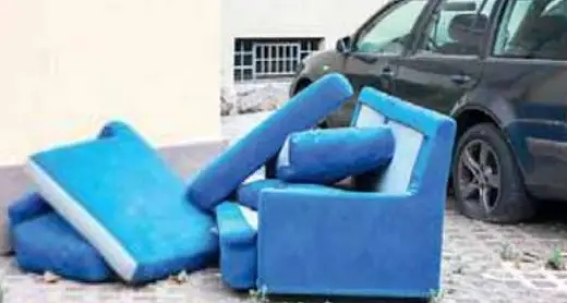 Case Ipes infestate dalle cimici dei letti: «Materassi abbandonati in cortile»