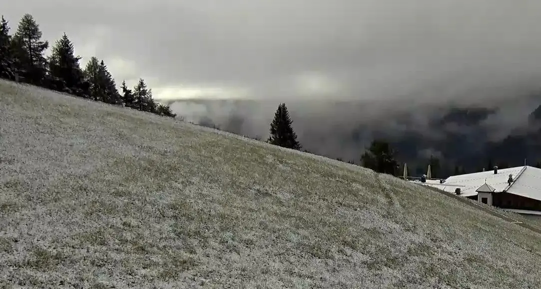 Protetti gli uccelli che nidificano a terra in alta val Pusteria