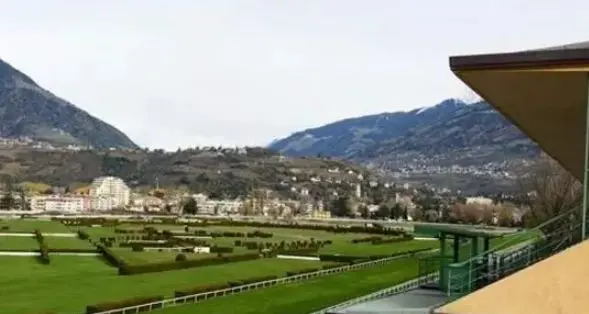 Merano Galoppo: «Medicinali trovati nelle scuderie, non all’ippodromo. Nessun caso di doping»