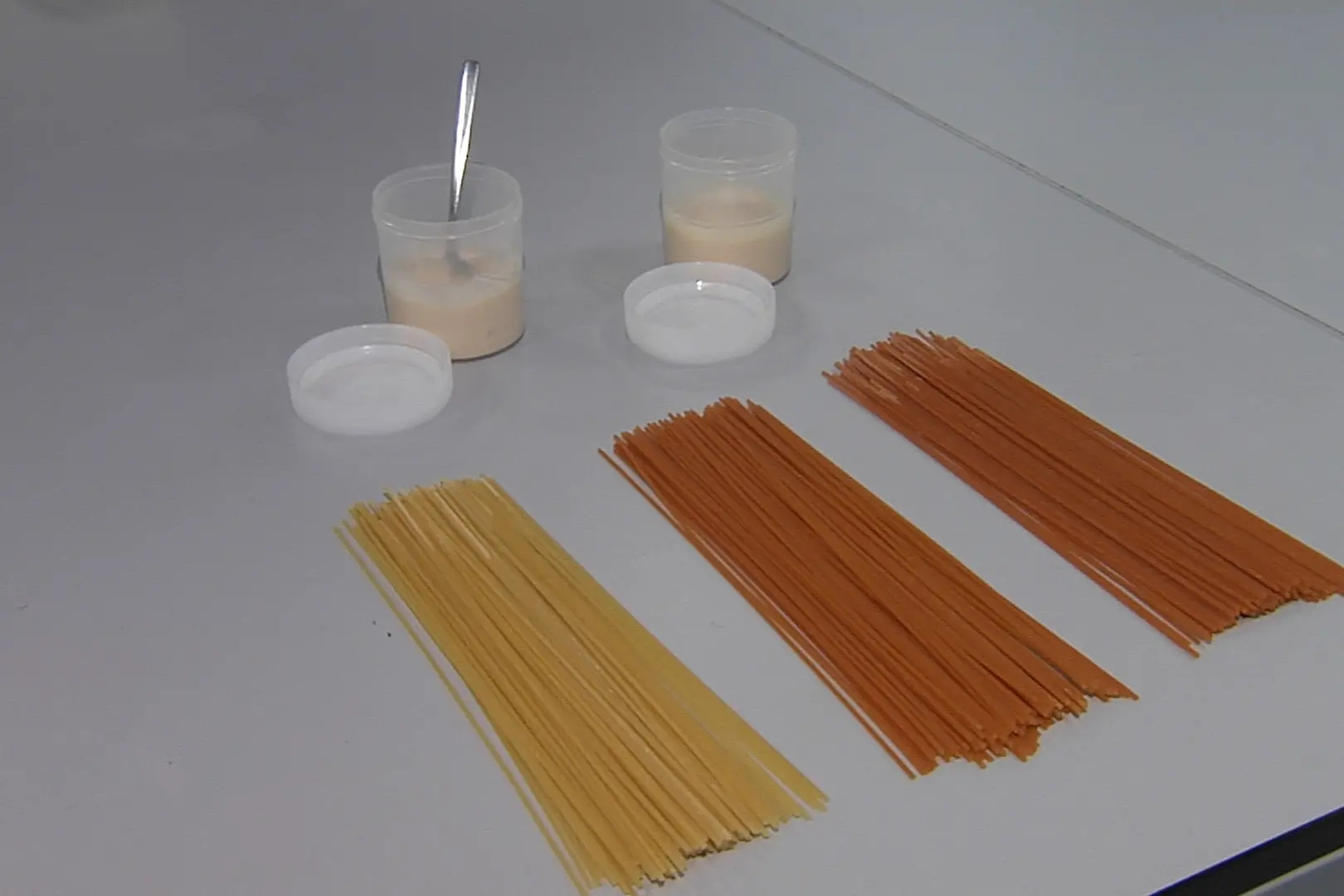 Nuovi alimenti da proteine vegetali: ecco come funziona il Micro4Food Lab di Unibz