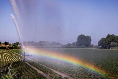 Ismea Investe, più flessibilità di accesso a strumenti finanziari per l'agroalimentare