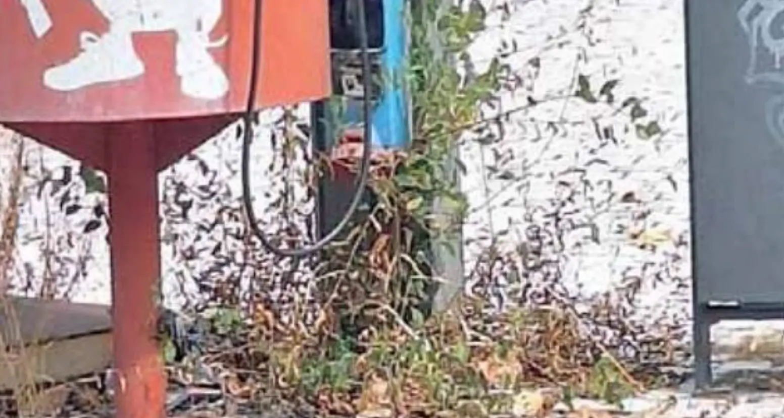 La denuncia: in via Claudia Augusta piazze e parchi nel degrado