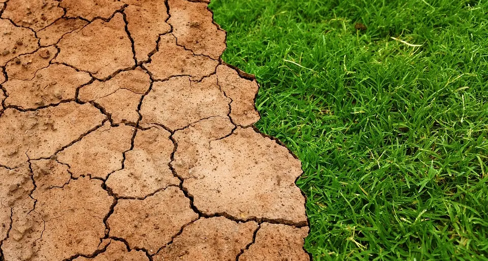 Neutralità climatica, gli scenari per l’Alto Adige: «Necessarie misure aggiuntive»