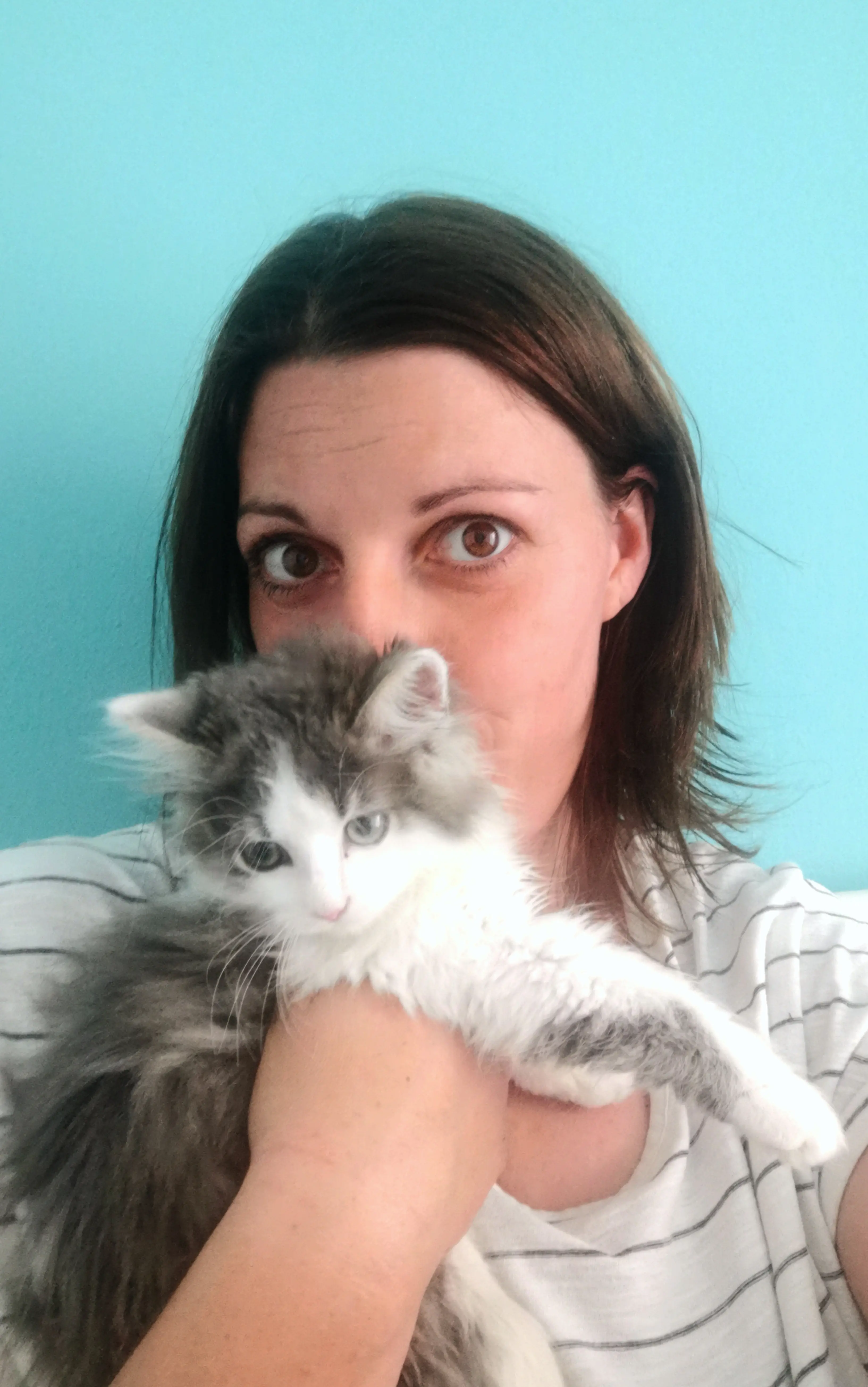 Allarme cuccioli a Bolzano, decine di mici abbandonati: ci pensa l’angelo custode dei gatti senza casa