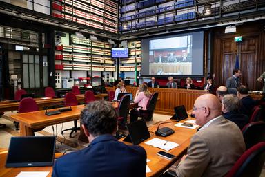 Paletti FI alla stretta su cittadinanza della Lega, 'esclusi reati colposi e minori'