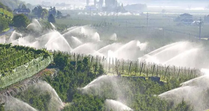 Troppo caldo, le piante soffrono: potenziata l’irrigazione anche in città