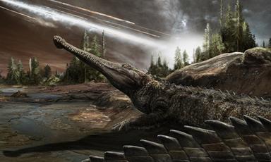 I coccodrilli sono sopravvissuti ai dinosauri inseguendo i climi caldi