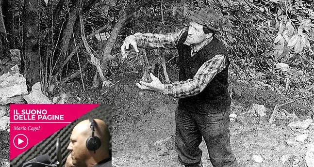 La scomparsa di Germana, i colpi di scena durante il processo: il podcast (terza parte)