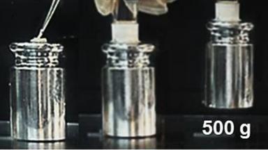 Pronta una supercolla riutilizzabile che resiste sott'acqua per anni