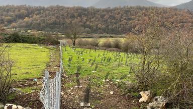 Trasmesso alla Ue il Piano nazionale di ripristino della natura