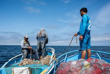 Fao, accordo contro la pesca illegale compie 10 anni, adesione di 86 Paesi