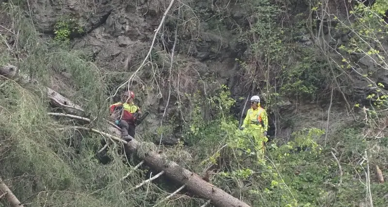 Frane e caduta massi, conclusi i lavori nel bosco di protezione della Val Badia