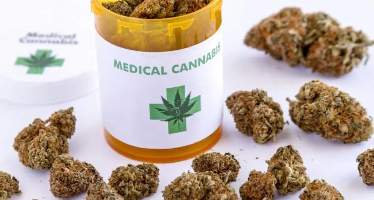 Cannabis medica e la sindrome fibromialgica: l’incontro a Bolzano