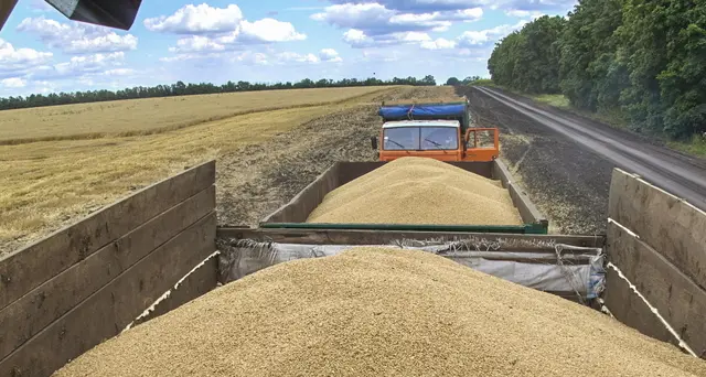 Grano: Unione Africana, bene accordo fra Russia e Ucraina