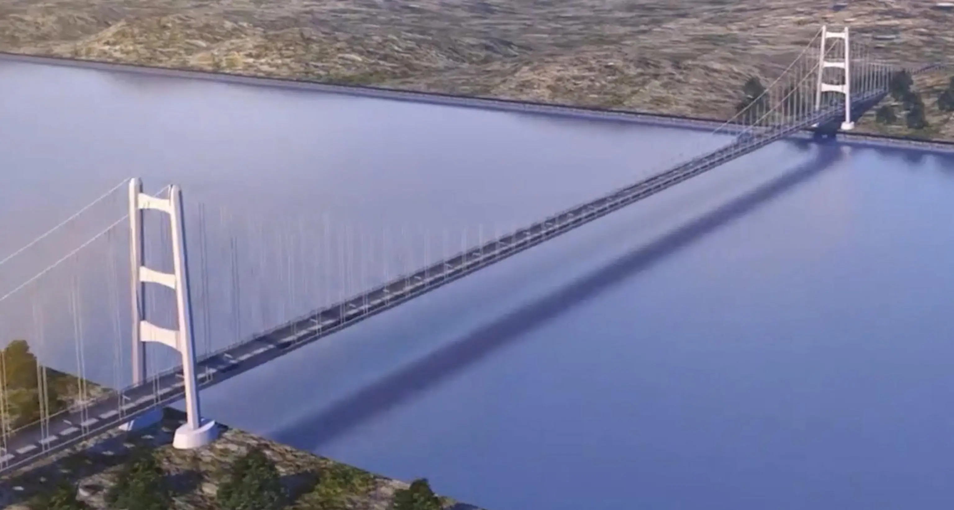 Ponte: C.Conti, viola habitat naturale,nodo piano tariffario