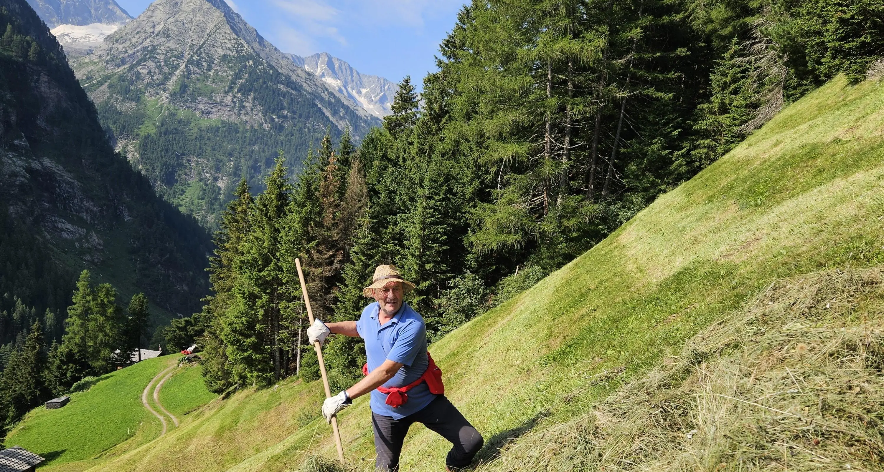 Falce, badile e aria buona: volontari al lavoro nei masi. «Così si salva la montagna»