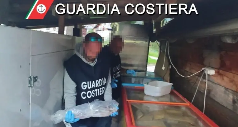 Blitz nei ristoranti di cortina: sequestrato pesce scaduto