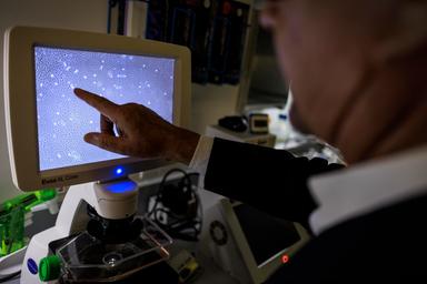 Nyt, 'scienziati usano l'IA per creare nuovi virus, è la prima volta'