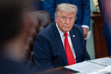 Trump, 'abbiamo molte munizioni, puniremo i divulgatori traditori'