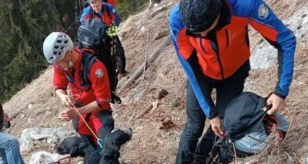 Il Soccorso alpino salva due cuccioloni bloccati in parete