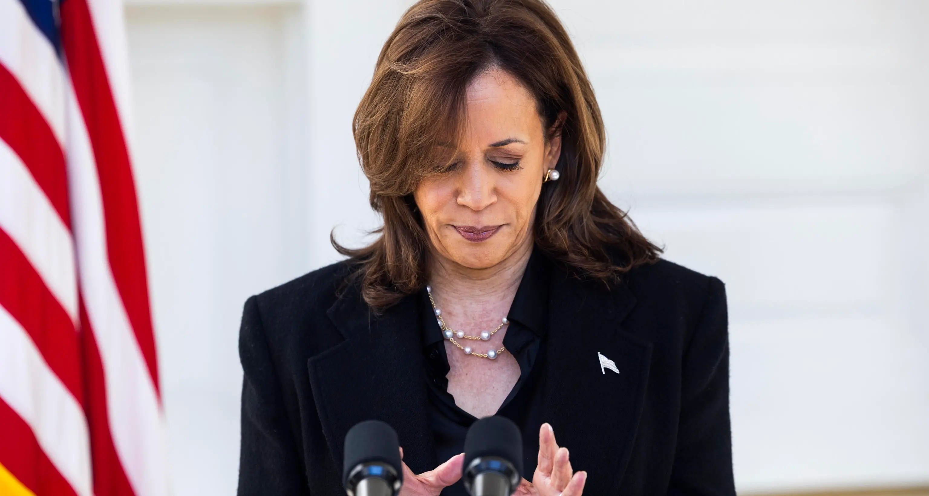 Usa 2024, Harris insiste: 'Trump è un fascista'