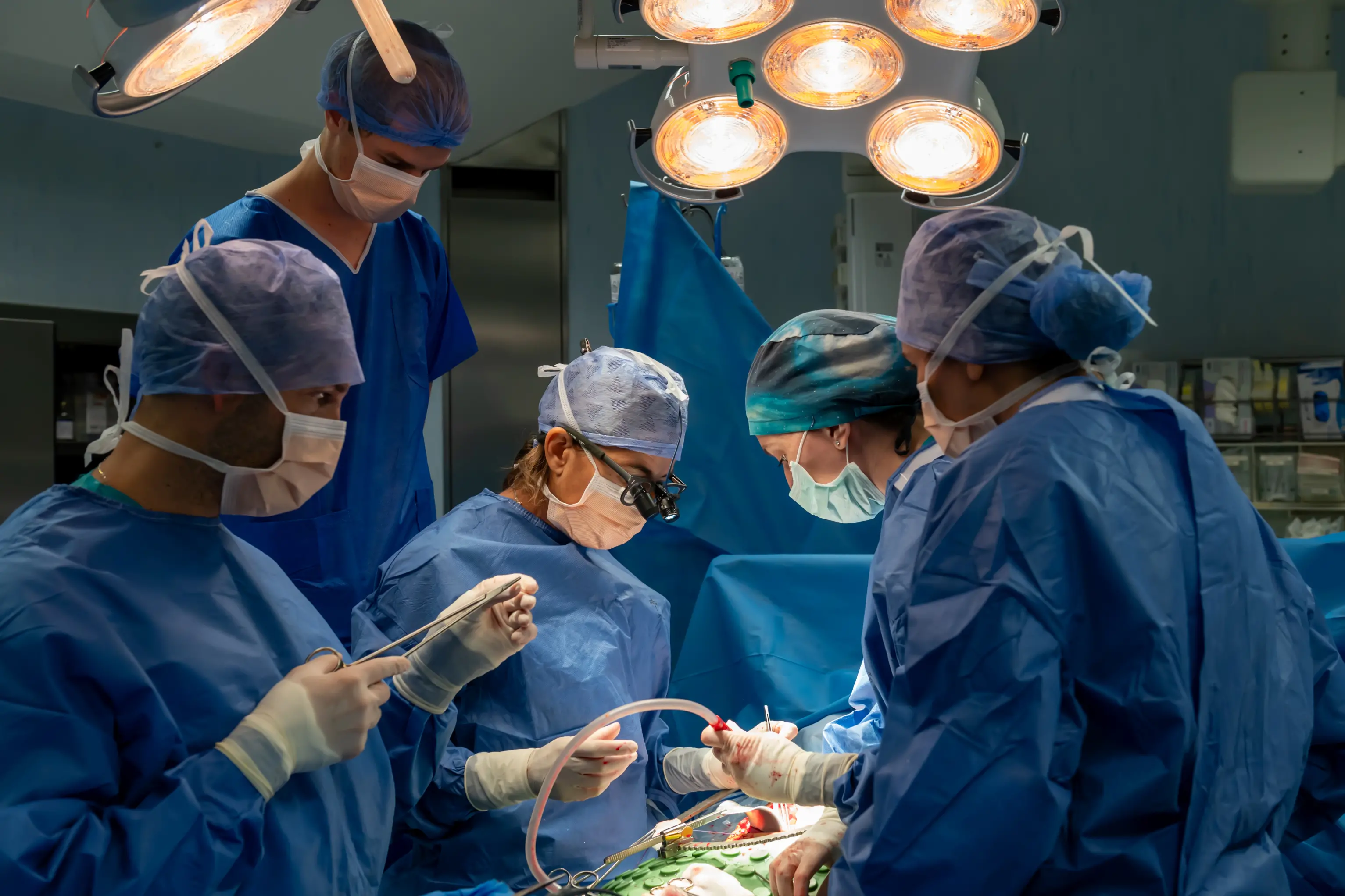 Trapianti di rene, da Padova un nuovo modello per le catene di donazione
