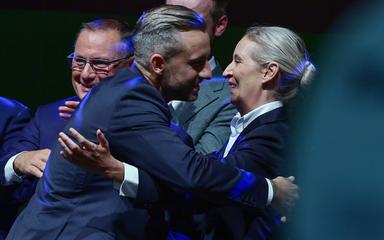 Weidel, 'Merz è un peso per la Germania'