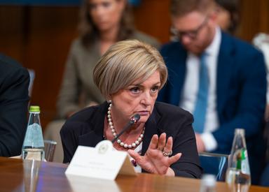 Calderone, bene riforma ordini professionali, presupposti per varo entro legislatura