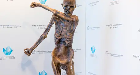 Ötzi forse aveva il Papilloma virus: nuova scoperta sulla mummia alpina