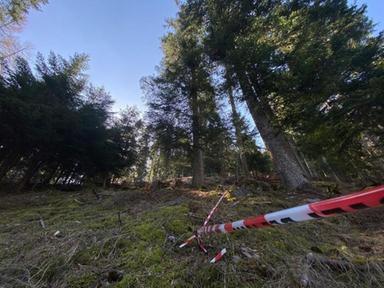 Sima, in Italia monossido provoca fino a 600 vittime l'anno e 6mila ricoveri