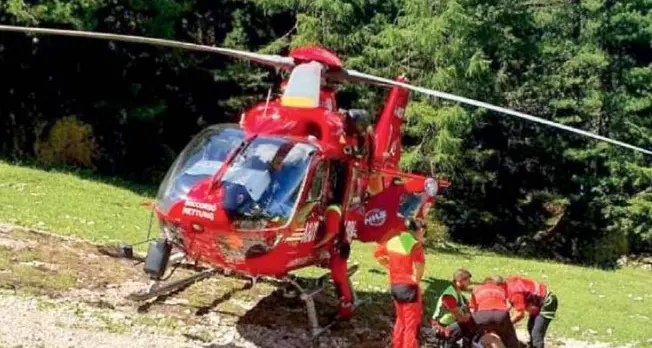 Aggrediti dalle mucche: «Quella donna gettata in aria come una palla»