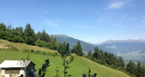 «Non voglio ballare coi lupi, non sono mica Kevin Costner...»