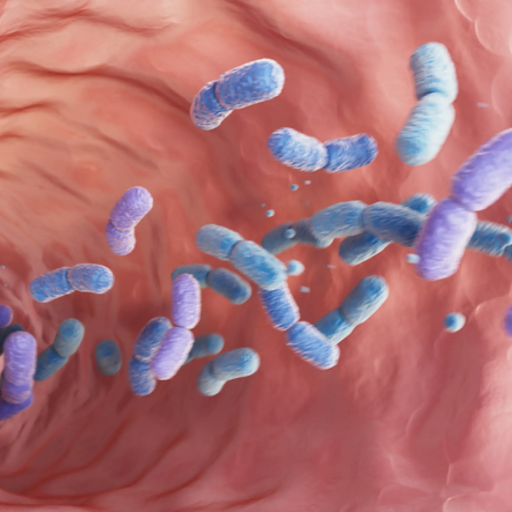 Il microbiota intestinale anticipa le malattie croniche fino a decenni prima