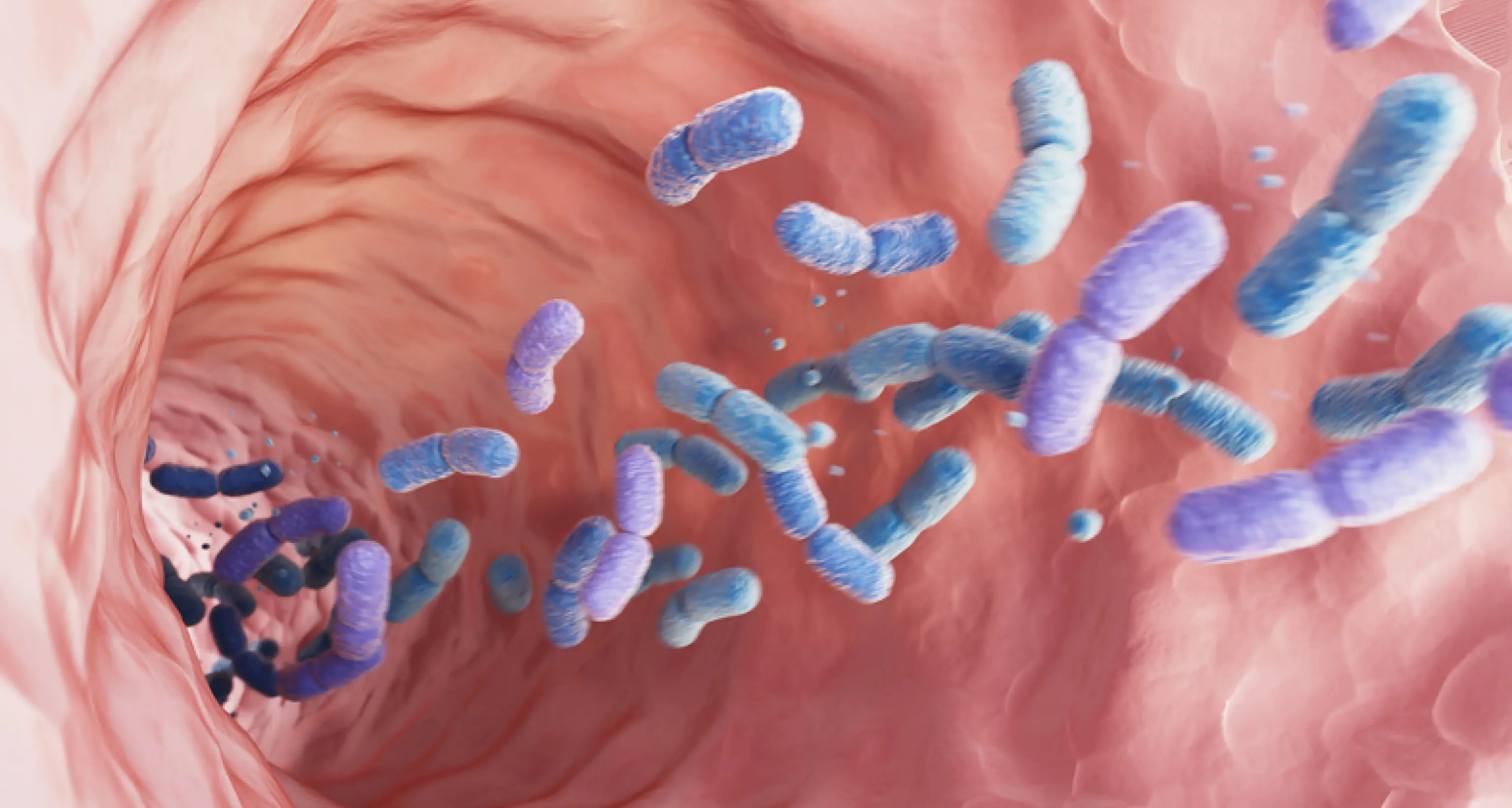 Il microbiota intestinale anticipa le malattie croniche fino a decenni prima