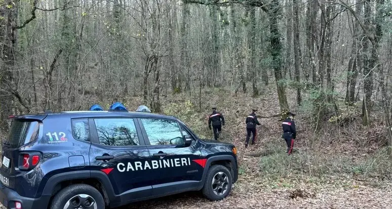 Famiglia nel bosco e figli allontanati, un caso nell'Aretino: il padre è di Bolzano