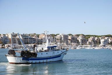 Masaf, Cambiale azzurra apre il portale per le domande, 10 milioni per la pesca