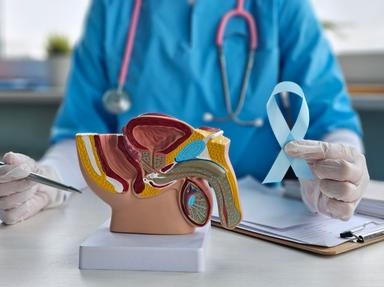 In Italia 87mila tumori urologici l'anno, la sfida sono le cure personalizzate