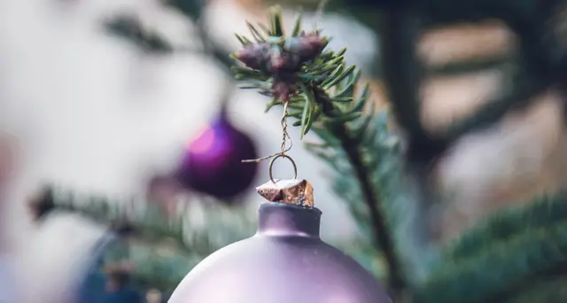 Natale: prezzi impazziti. Per alberi +40%, panettone +37%